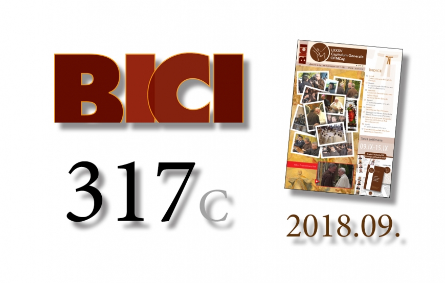 BICI n. 317 C